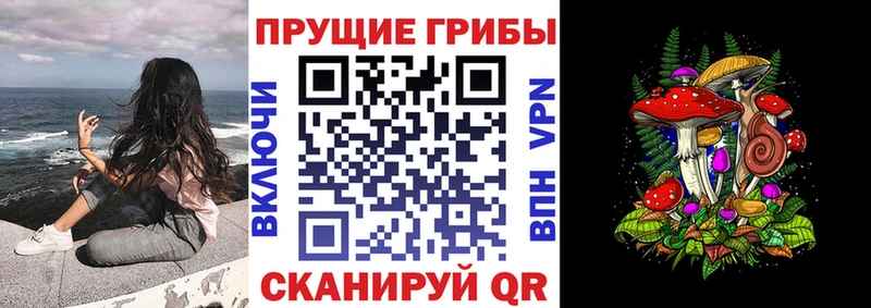 наркотики  Юхнов  Псилоцибиновые грибы ЛСД 